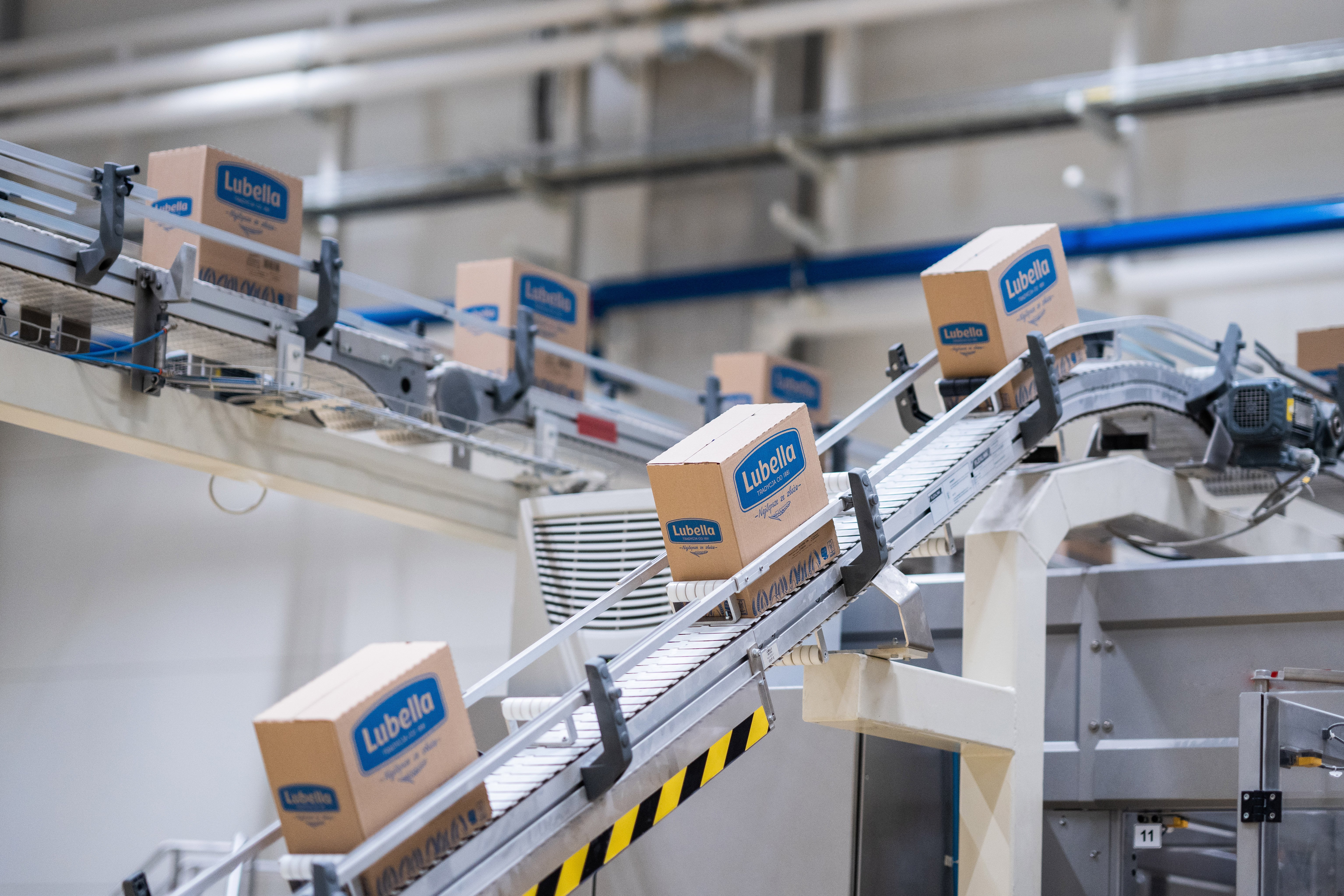 FlexLinks aluminum conveyors in food production