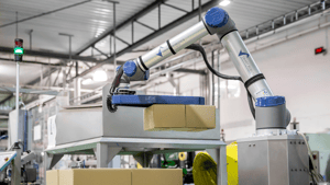 Fernzugriff bei Smart Robotics: interne Entwicklung oder Outsourcing?