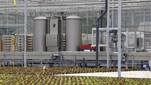 Hoe Water IQ cloud-based data inzet voor intelligent watergebruik